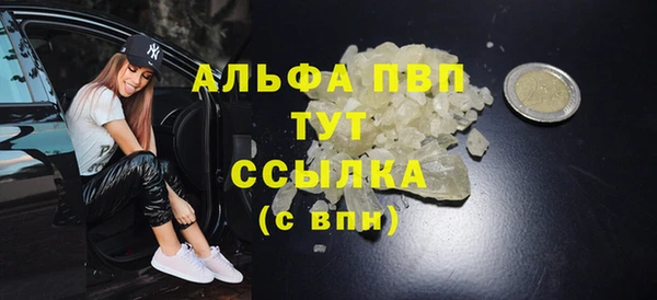 крисы Новодвинск