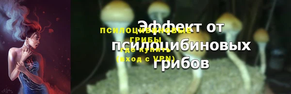 скорость Няндома