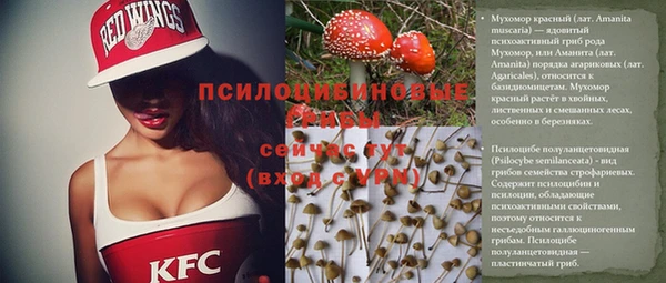 стафф Новозыбков