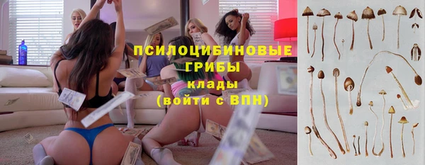 прущие крисы Нягань