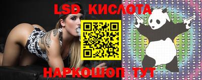 MESCALINE Гатчина