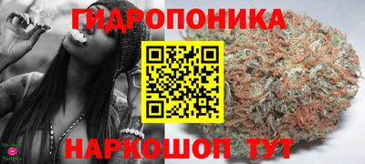 хмурый Гай