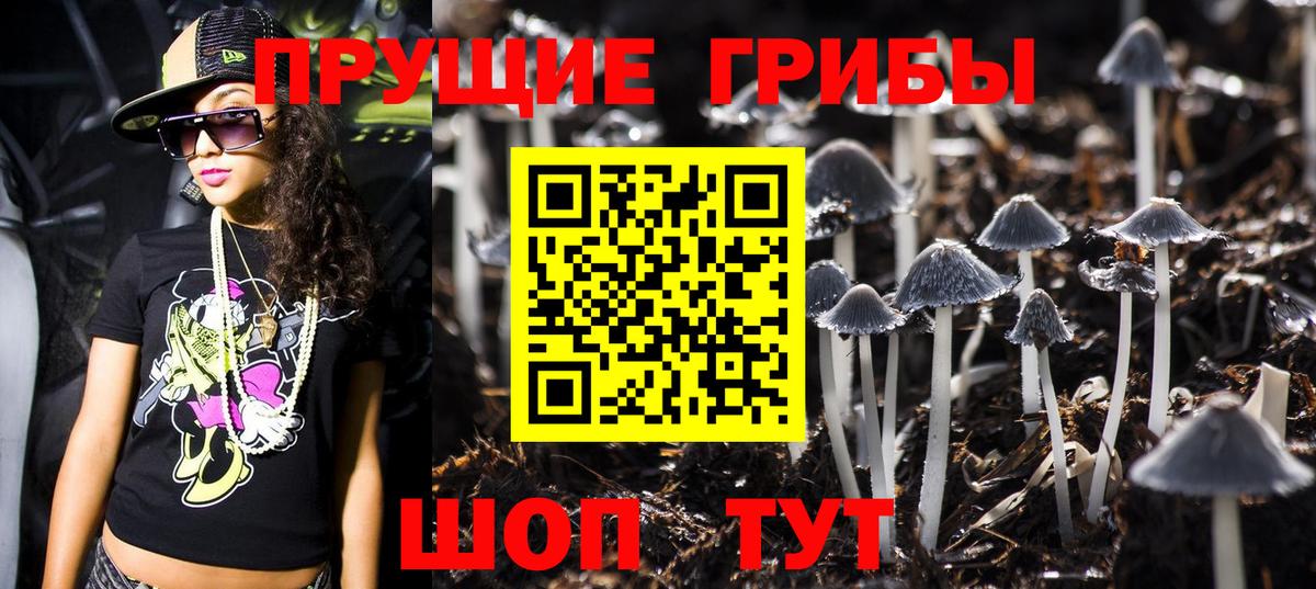 Галлюциногенные грибы MAGIC MUSHROOMS Казань