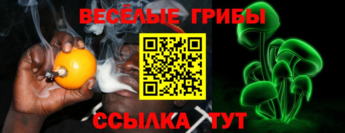 Казань  Псилоцибиновые грибы Magic Shrooms  Вход с VPN  Псилоцибиновые грибы Magic Shrooms 